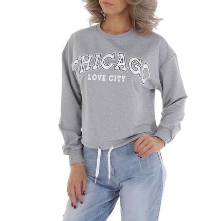 Damen Langarmshirt von EGRET - grey
