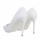 Damen High-Heel Pumps - white