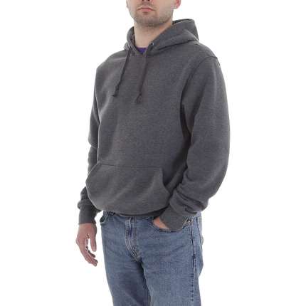 Herren Pullover von Egret - grey