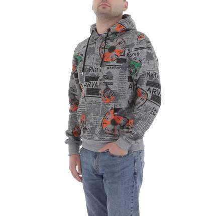 Herren Pullover von Egret - grey