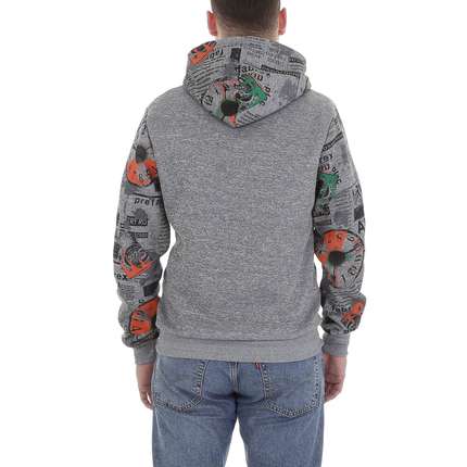 Herren Pullover von Egret - grey