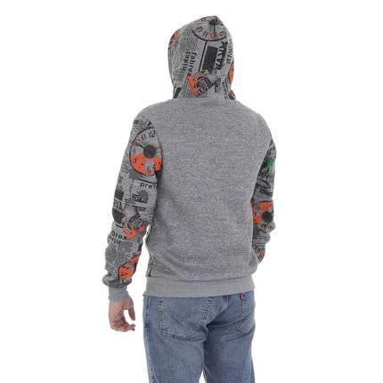 Herren Pullover von Egret - grey