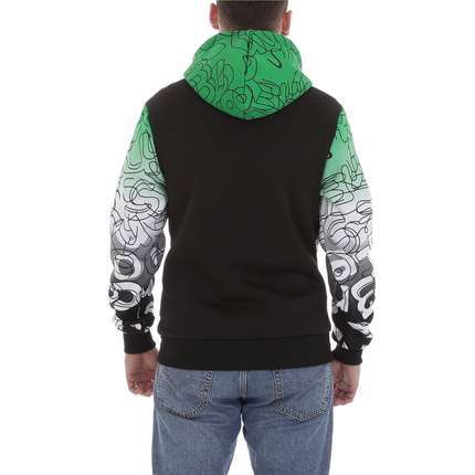 Herren Pullover von Egret - green