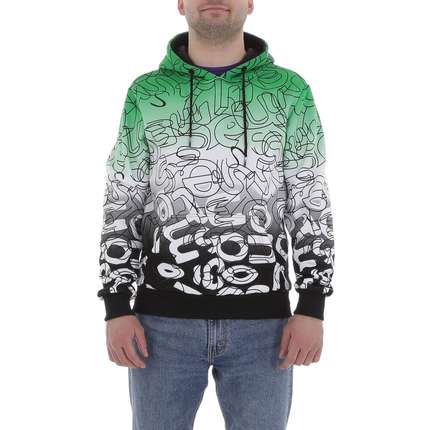 Herren Pullover von Egret Gr. L/40 - green