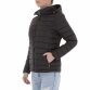 KL-W23-1-black