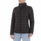 KL-W23-1-black