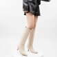 Damen High-Heel Stiefel - beigepu