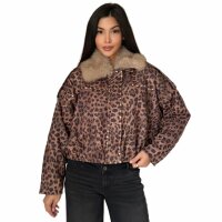 KL-WE1001-leopard